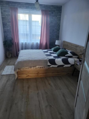 APARTAMENT PRZY WYSPIE